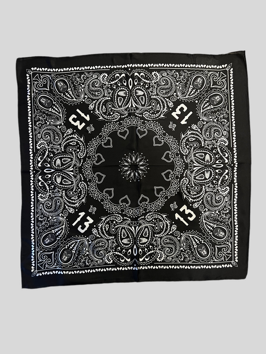 The 13 paisley bandanna